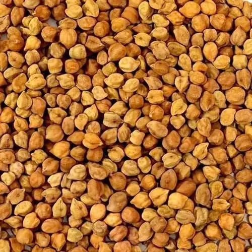 fresh-chana-500x500
